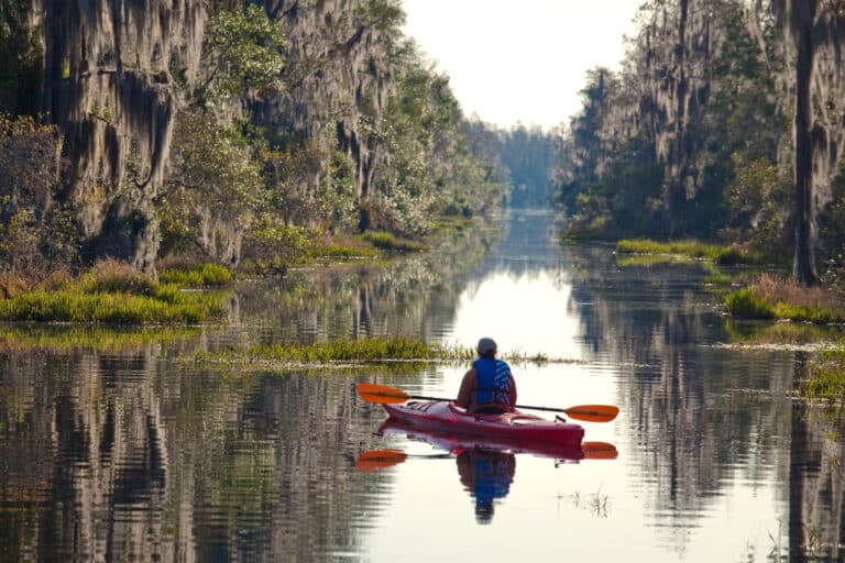 Ocefenokee Swamp in Georgia