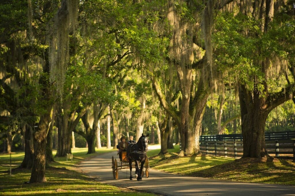 Pebble Hill Plantation in Thomasville