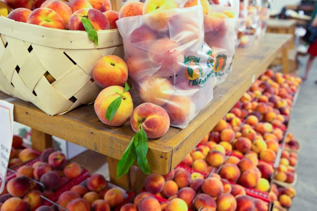 Explore Georgia: Peaches, Beaches & Plantations