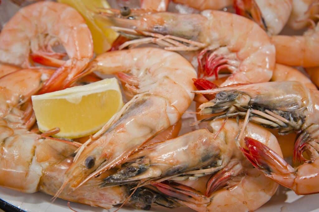Shrimps