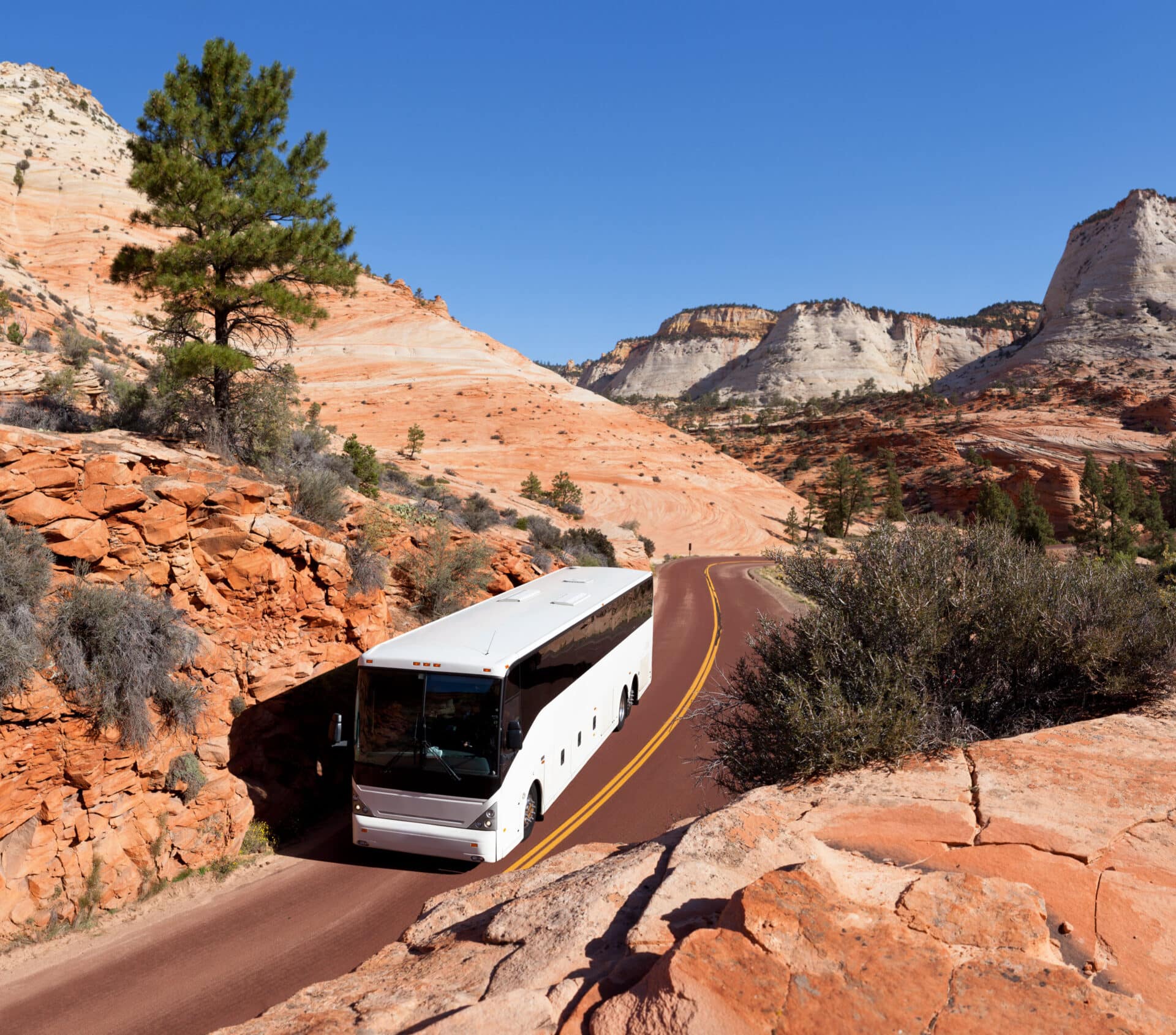 Busfahrt durch den Zion National Park