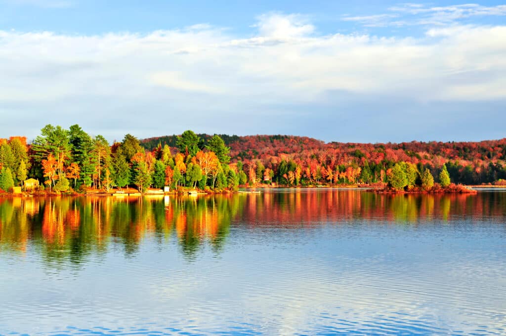 Bunter Herbstwald an einem See