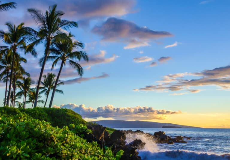 Tropischer Strand mit Palmen bei Sonnenuntergang auf Maui, Hawaii