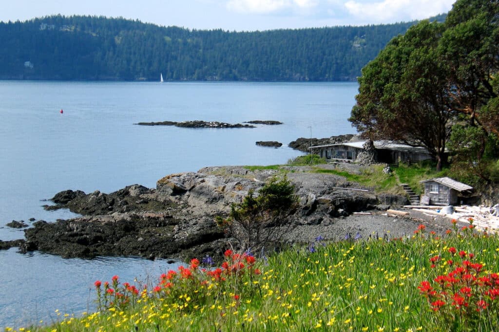 San Juan Island