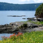 San Juan Island