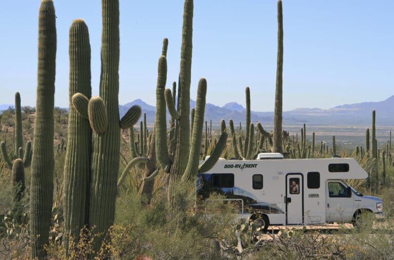 Cruise America - Fahrt durch den Saguaro-Nationalpark