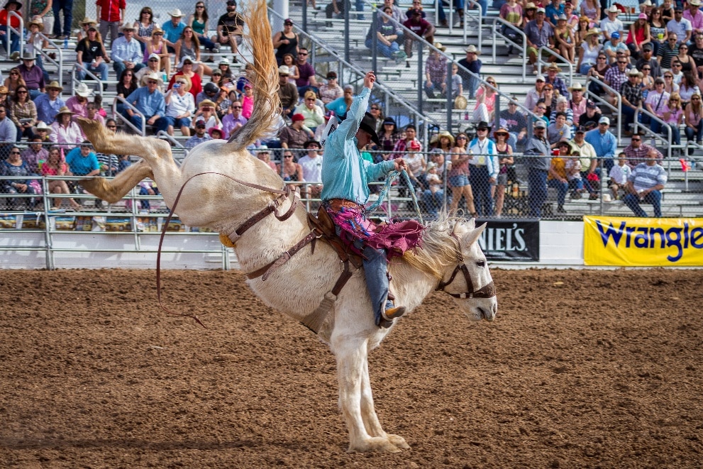 Fiesta de los Vaqueros