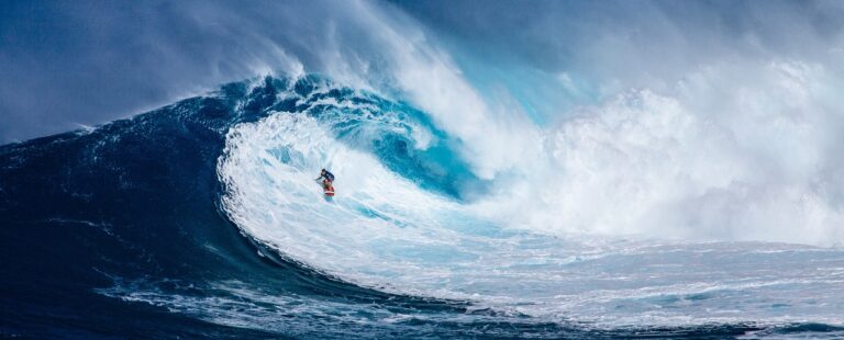 Surfer