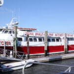 Cape May Whale Watchers