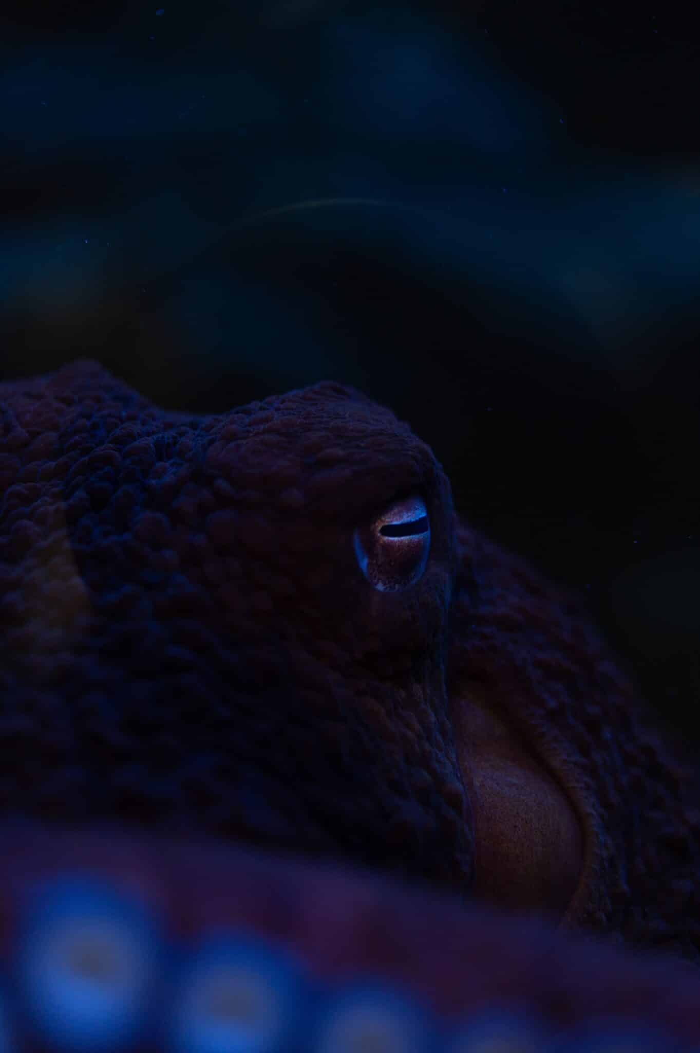 ashley-byrd--HU4ltUcaVo-unsplash