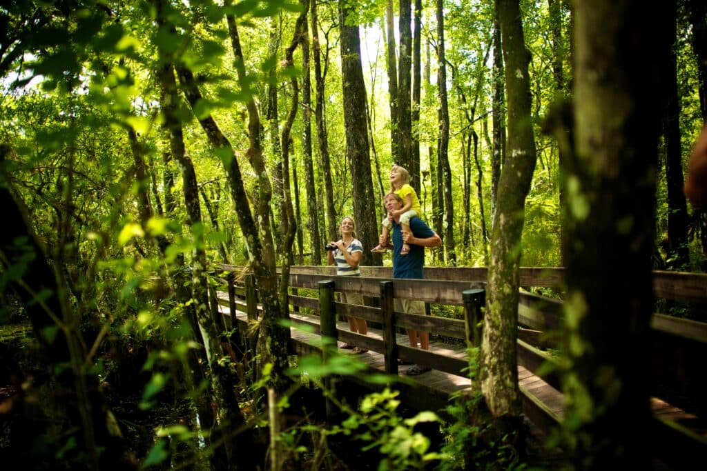 Six Mile Cypress Slough Preserve