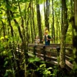 Six Mile Cypress Slough Preserve