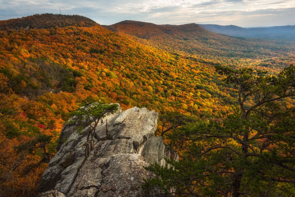 Pulpit Rock - Cheaha State Park