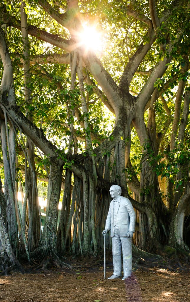 Banyan-Baum auf dem Gelände der Edison & Ford Estates in Fort Myers, Florida