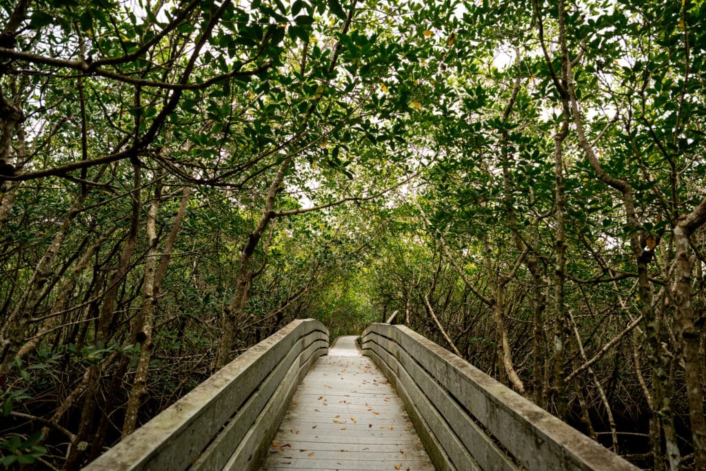 Four Mile Ecological Preserve