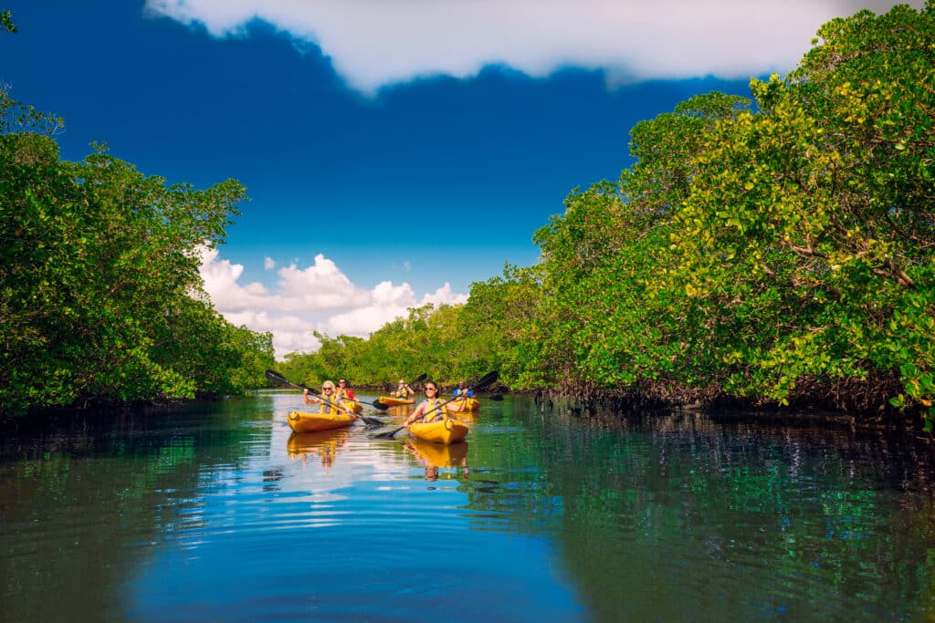 Kayaking in Fort Myers, Florida