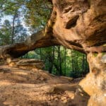 Felsformation im Wald