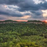 Sonnenuntergang über einem großen Waldgebiet