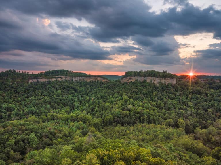 Sonnenuntergang über einem großen Waldgebiet
