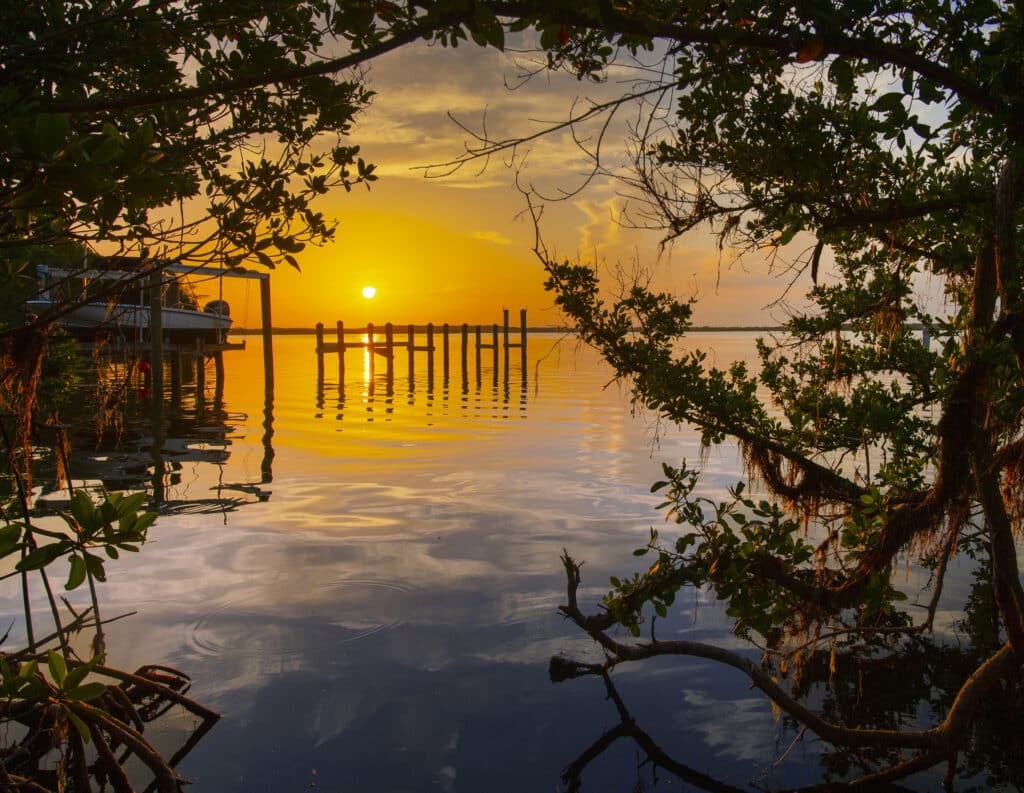 Sonnenaufgang in den Mangroven bei Key Largo