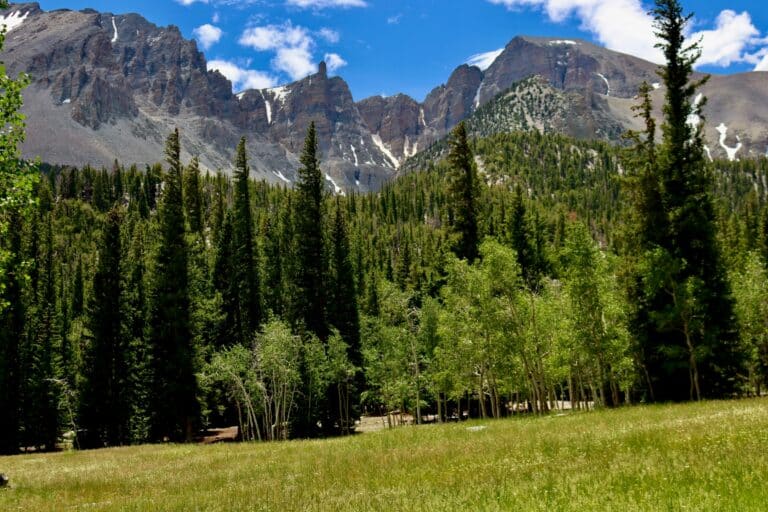 Great Basin Nationalpark