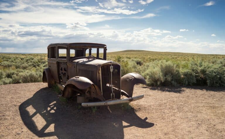 Petrified Forest National Park