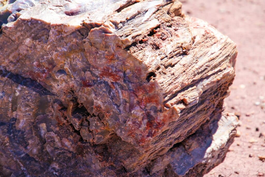 Petrified Forest National Park