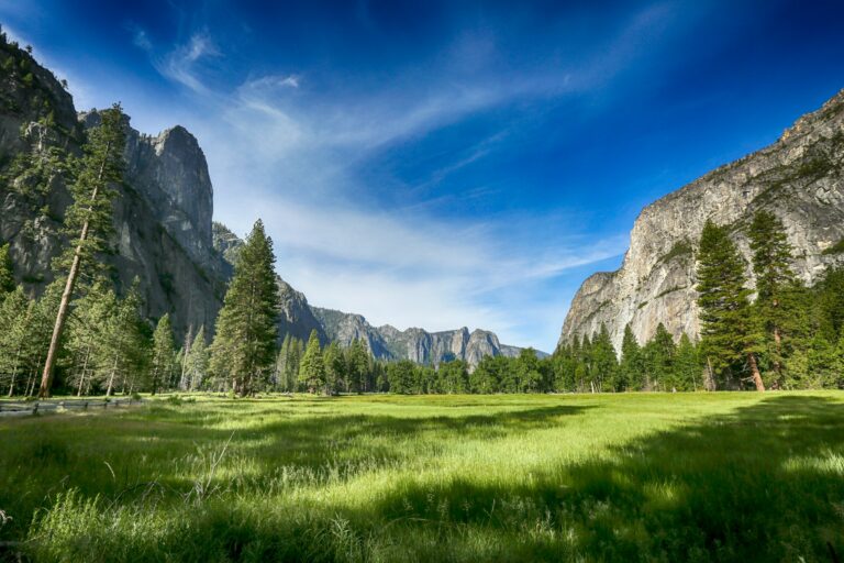 Sommer im Yosemite Nationalpark