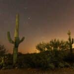 Nachthimmel im Saguaro Nationalpark