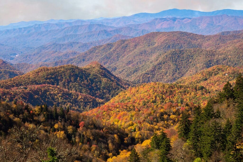 Blue Ridge Mountains / Blue Ridge Parkway im Indian Summer