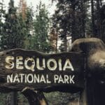 Sequoia National Park