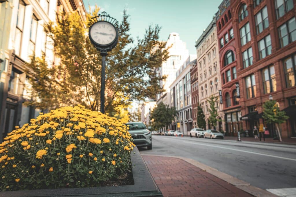 Louisville