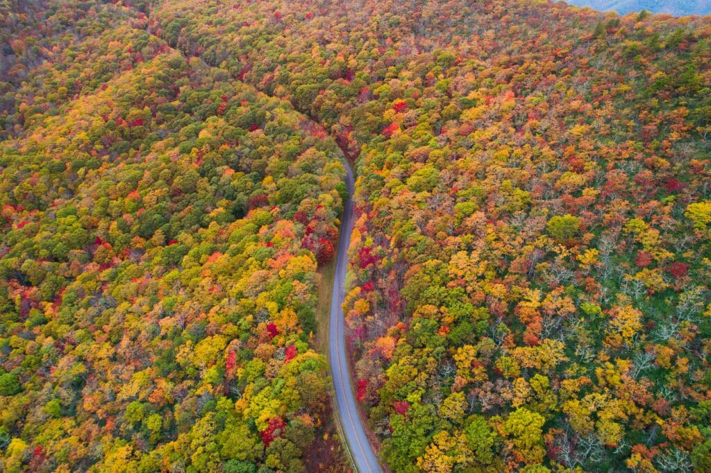 Blue Ridge Mountains / Blue Ridge Parkway im Indian Summer
