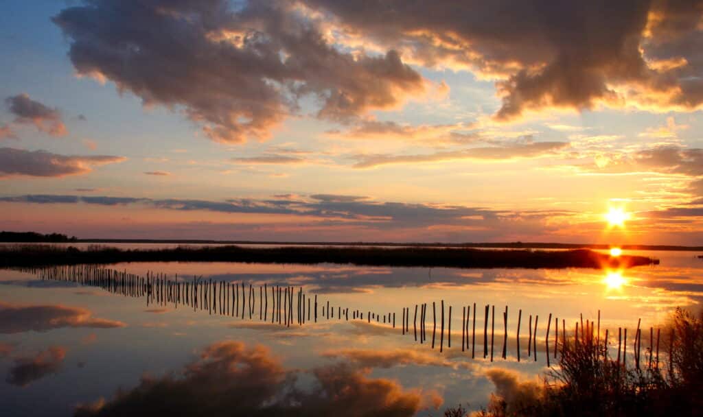 Blackwater National Wildlife Refuge