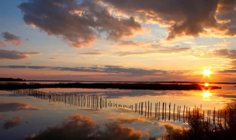 Blackwater National Wildlife Refuge