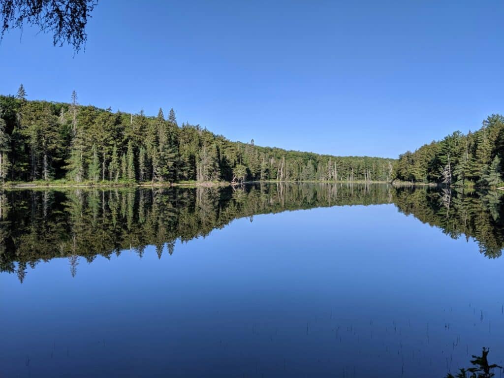 Algonquin Provincial Park