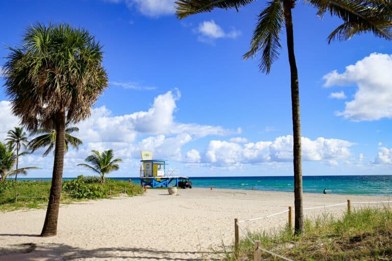 Florida – Neu und immer wieder schön
