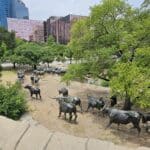 Pioneer Plaza in Dallas