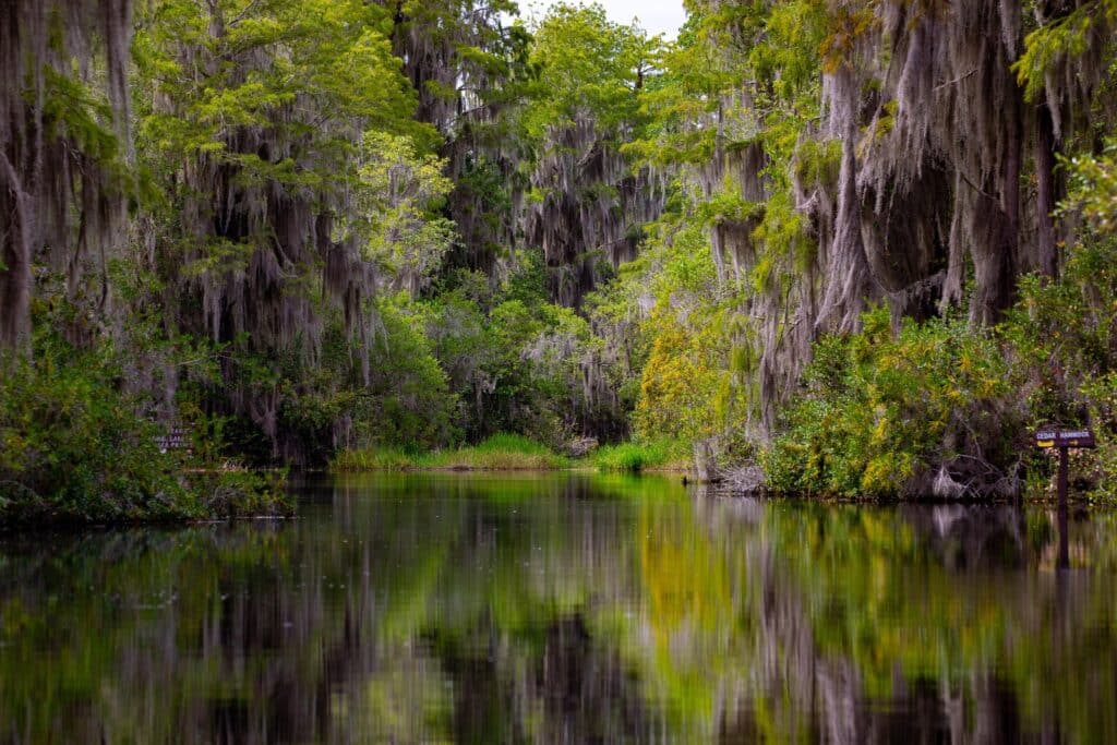 Okefenokee National Wildlife Refuge