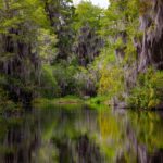 Okefenokee National Wildlife Refuge