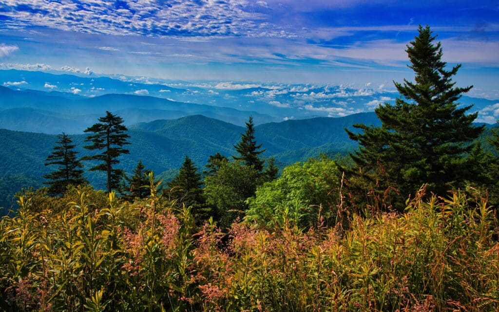 Great Smoky Mountains National Park