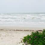 Mustang Island State Park in Corpus Christi