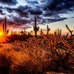 Scottsdale