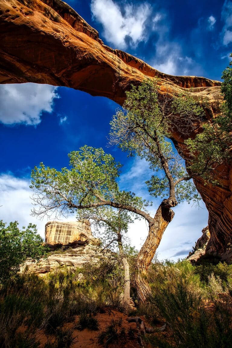 Sipapu Bridge - Natural Bridges National Monument - Utah