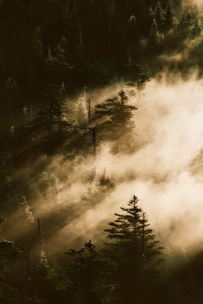 Smoky Mountains