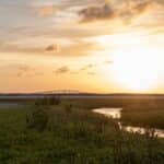 Blick auf Mustang Island und Corpus Christi