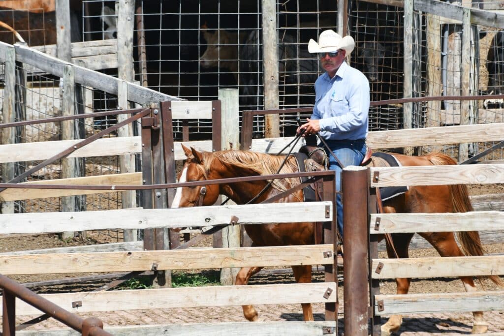 Oklahoma City, OK | Cowboy in den Stockyards