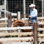 Oklahoma City, OK | Cowboy in den Stockyards
