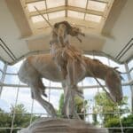 Oklahoma City, OK | National Cowboy & Western Heritage Museum