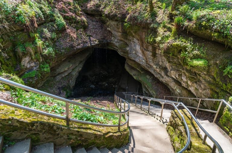 Eingang zur Mammoth Cave im Mammoth Cave National Park. Ein steiler Weg mit Geländer führt in die Höhle hinein.
